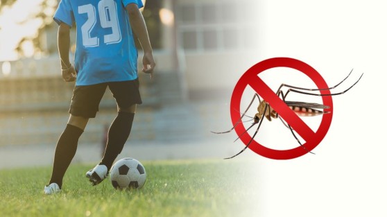 Dengue en San Juan: recomendaciones sanitarias para deportistas e instituciones