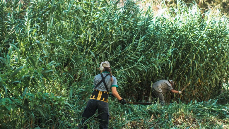 Espacios Verdes realiza el mantenimiento de la Quebrada de Zonda